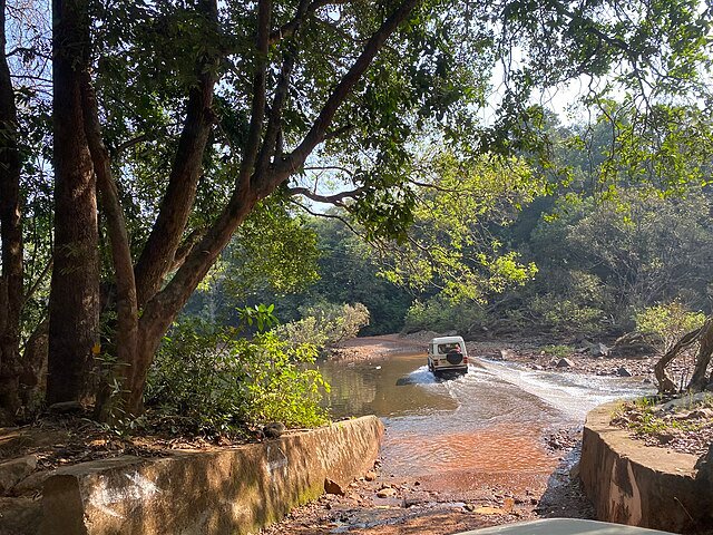 Dudhsagar Falls