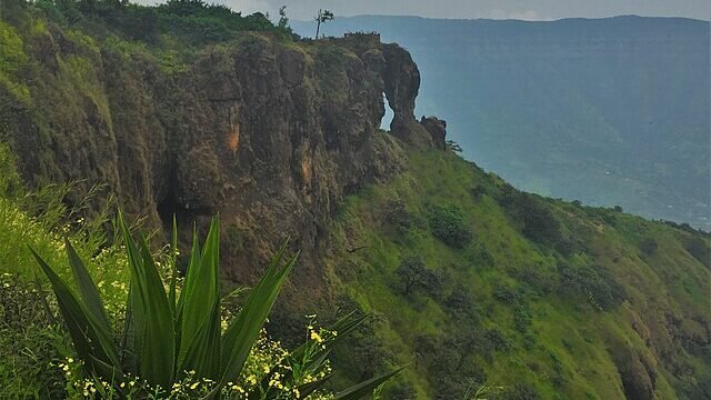 Elephant_view_in_pune