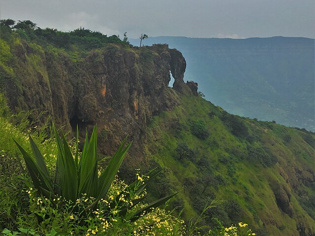 Elephant_view_in_pune