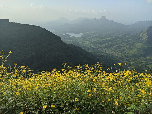 Monkey Point is best Places To Visit in Matheran