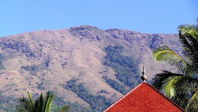 Brahmagiri_Hills_-_panoramio_(4)