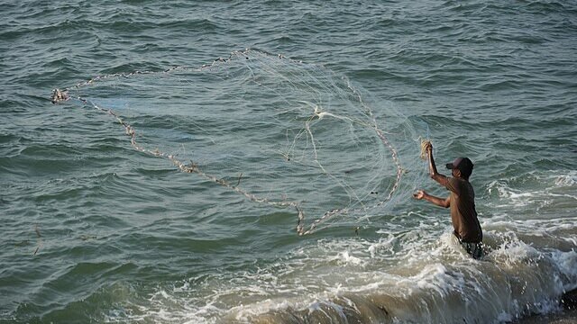 Fort_Kochi_-_Fisher_-_2