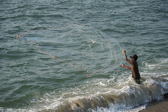 Fort_Kochi_-_Fisher_-_2