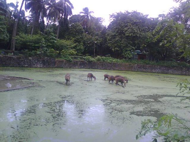 Jijamata Udyan