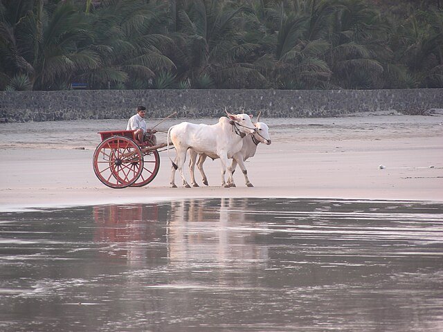 Kashid Beach