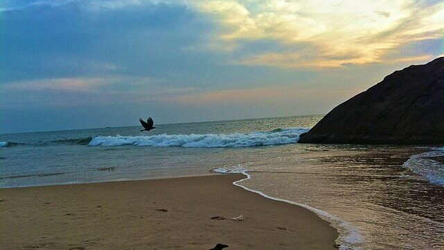 Kaup_beach,_Udupi,_Karnataka_09