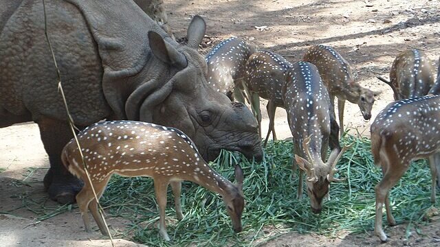 Thiruvananthapuram Zoo