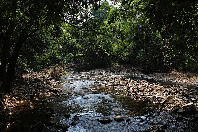 Sanjay Gandhi National Park