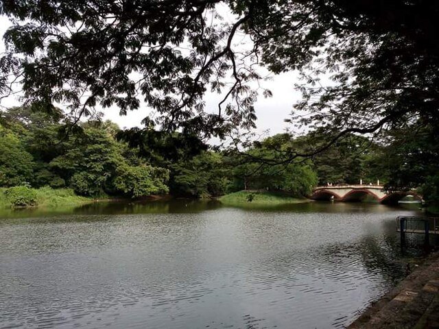 Sanjay Gandhi National Park