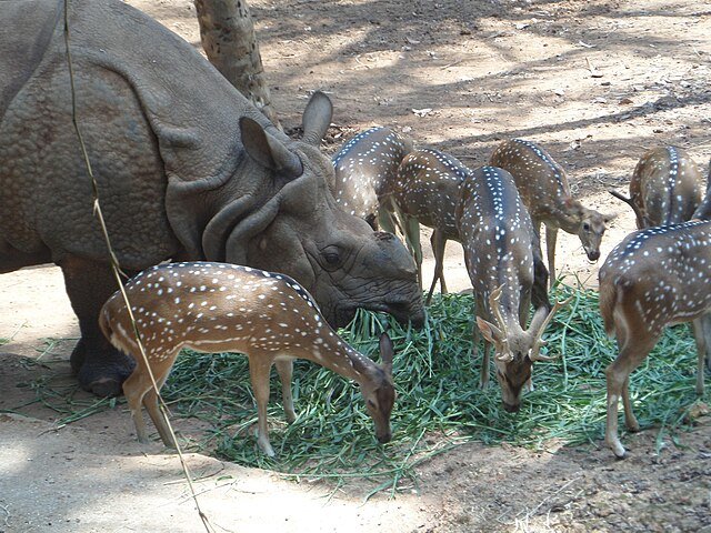 Thiruvananthapuram Zoo