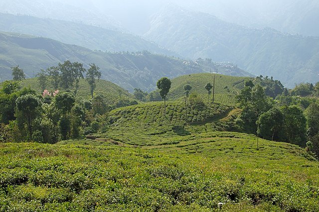 Darjeeling is most famous honeymoon destinations in India