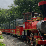 Van Rani Toy Train