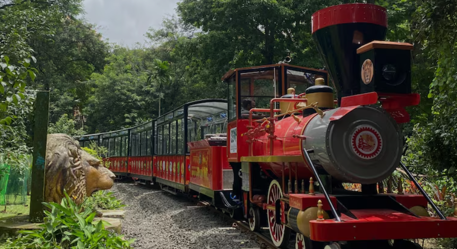Van Rani Toy Train