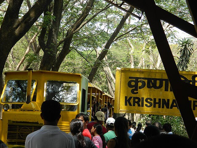Van Rani Toy Train